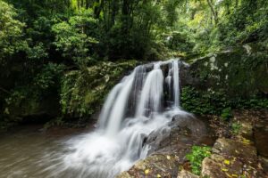 Lamington National Park