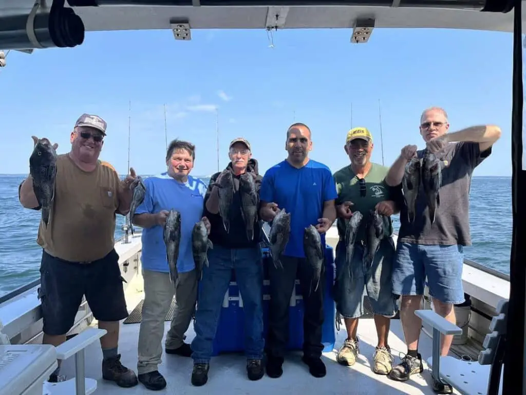 Lucky Strike Charters Fishing Charters QLD Travel
