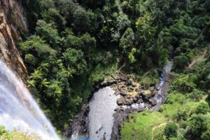 Springbrook National Park