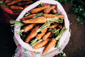 Fresh carrots just picked