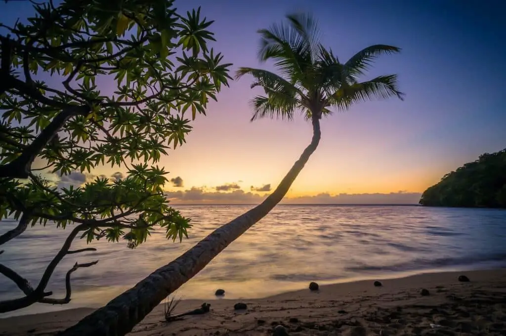 heron island