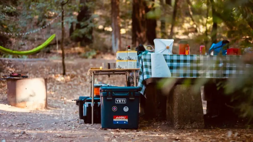 Camp Site Table And Food