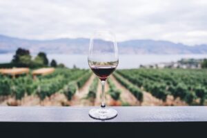 Best Wine Tours In Queensland Wine Glass