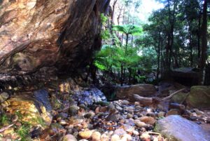 Carnarvon Gorge Underground