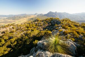 Mt Maroon Summit Mt Barney National Park