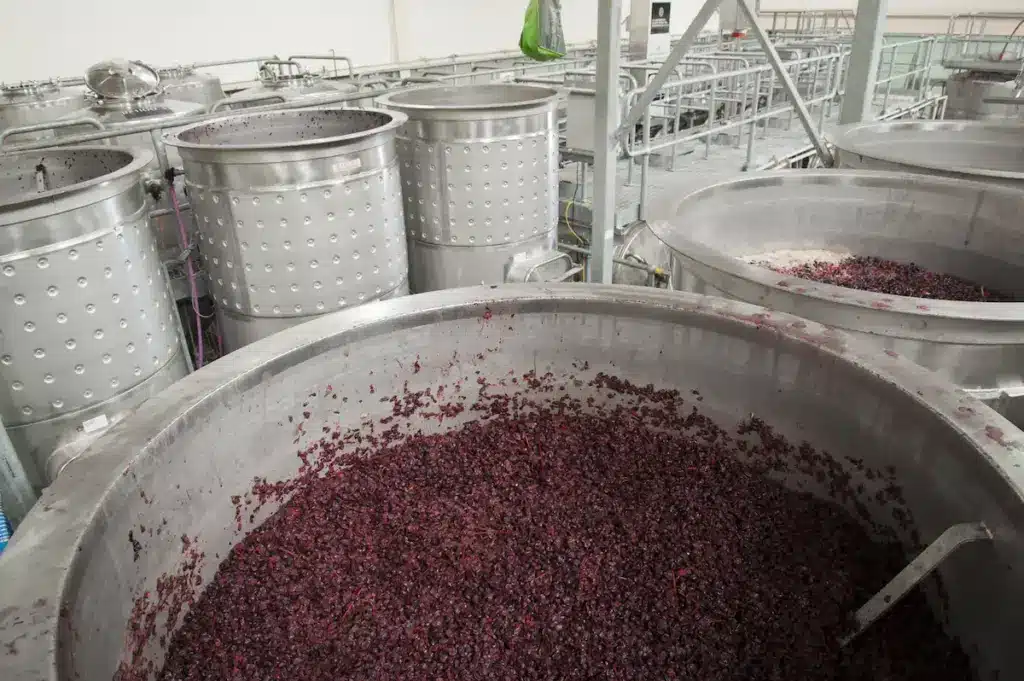 Red Winegrapes In Open Fermenters