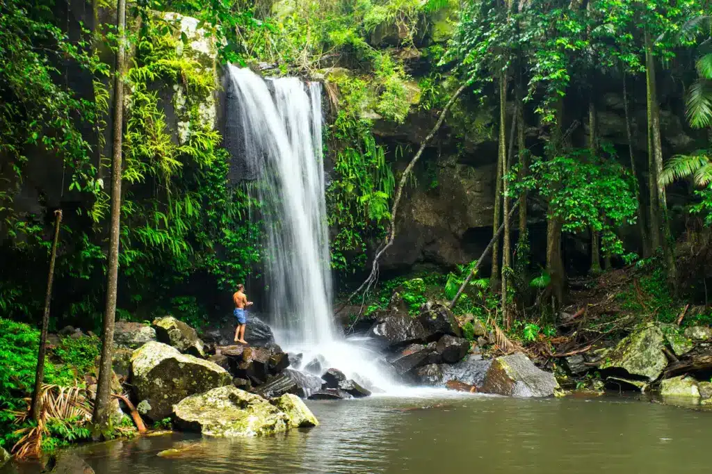 Curtis Falls 