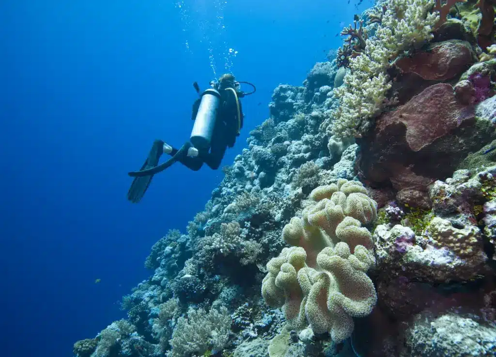 Great Barrier Reef Scuba Diving