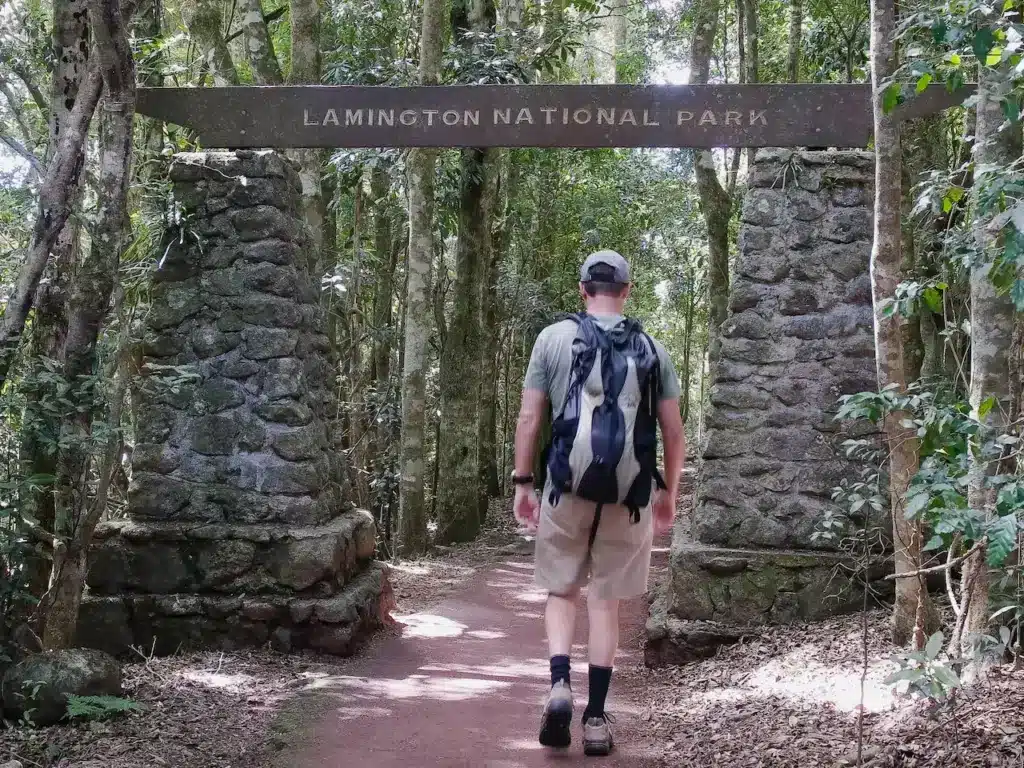 Lamington National Park 