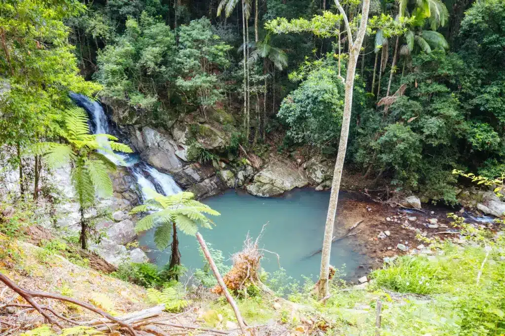 Waterfall At The Cougal Cascades