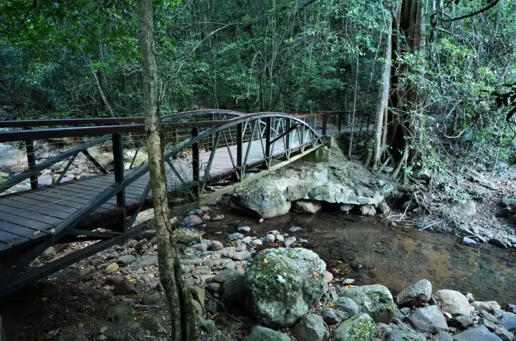 Springbrook National Park Waterfalls & Swimming Pools Near Brisbane